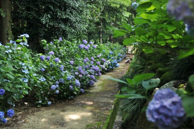 いなべ市の万葉の里公園画像